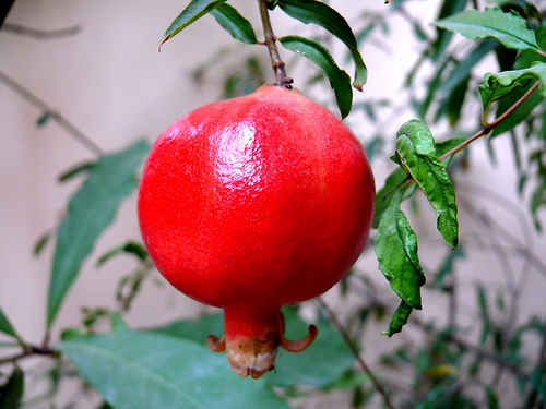 Bí quyết sinh con có má lúm đồng tiền, bạn đã biết?5